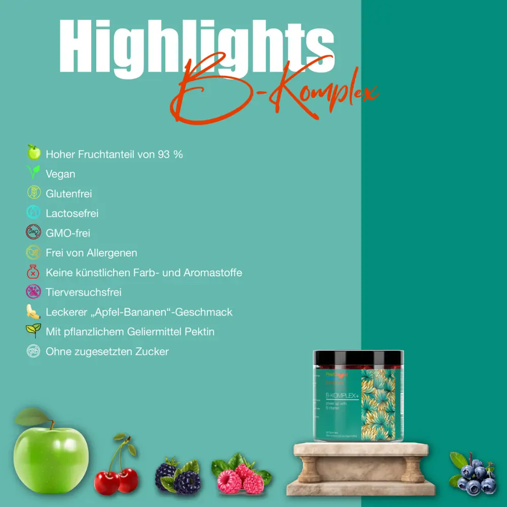 HighlightsB-Komplex_Zeichenflaeche1