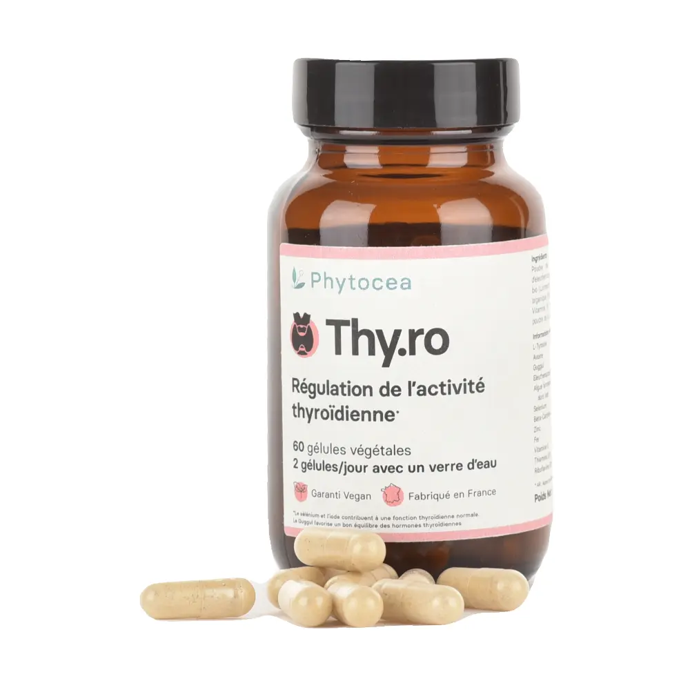 DSC_8558-3770017668094