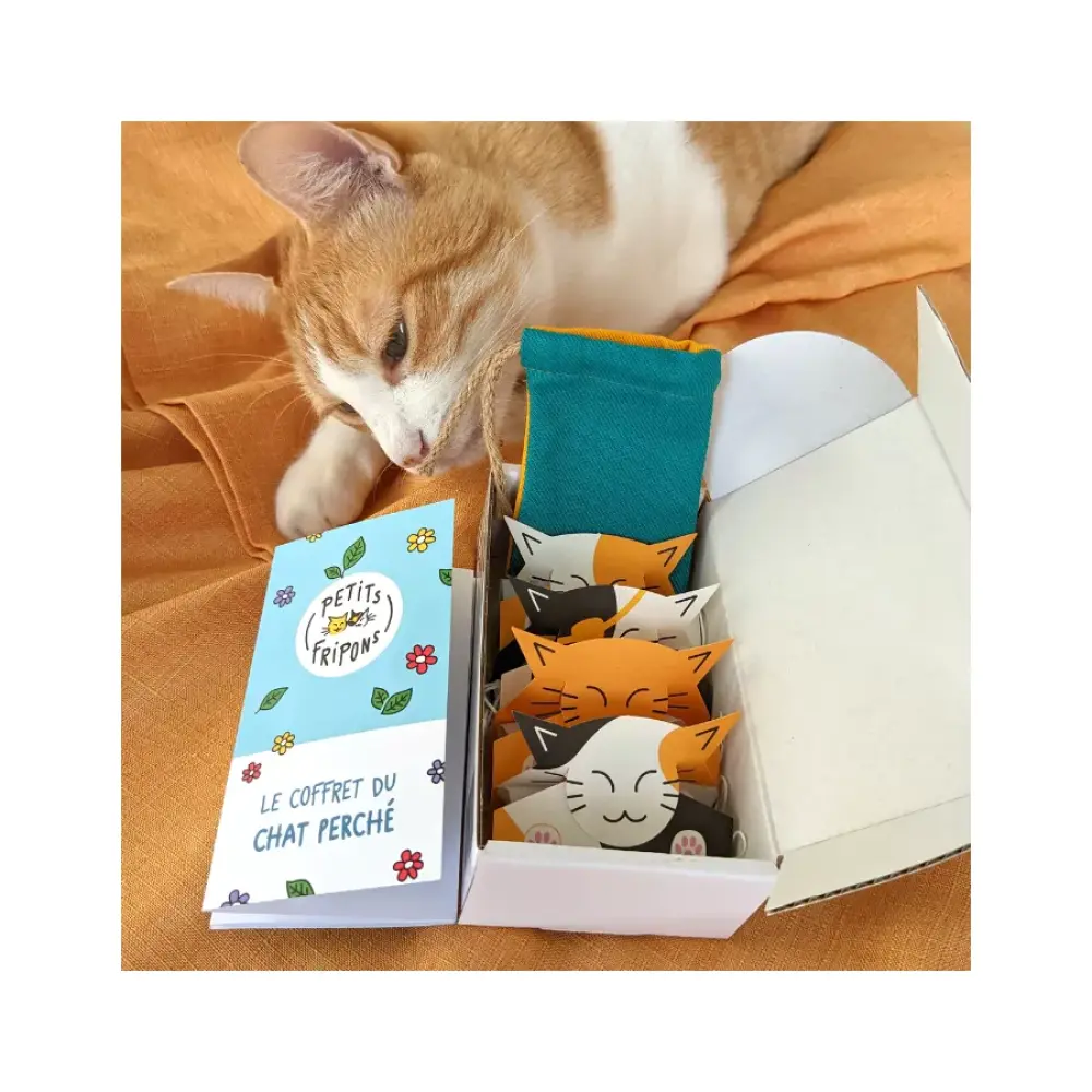 le-coffret-du-chat-perche-les-herbes-pour-chat
