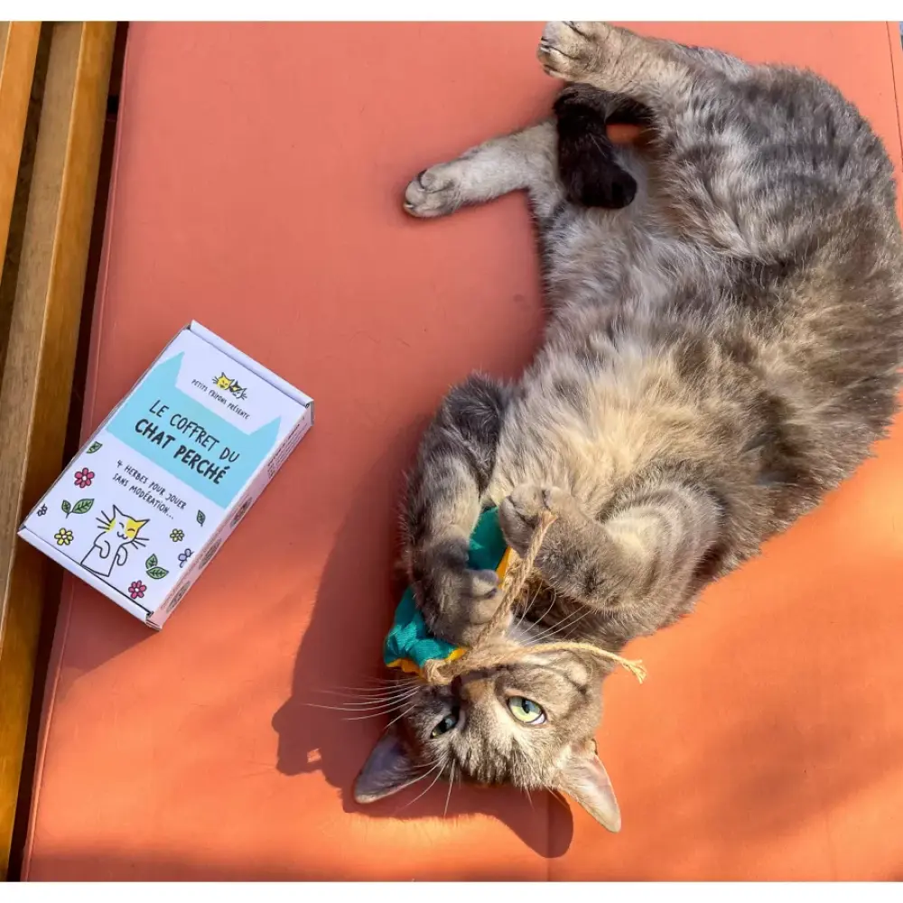 le-coffret-du-chat-perche-les-herbes-pour-chat