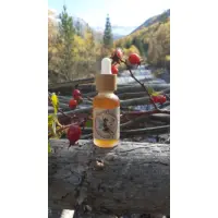 20191027_121514-scaled