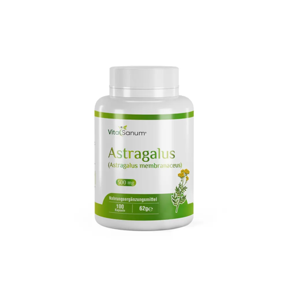 Astragalus-front
