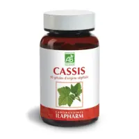 Capture d’écran 2023-03-17 à 10.59.28