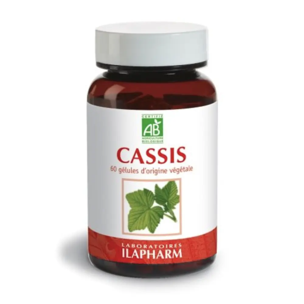 Capture d’écran 2023-03-17 à 10.59.28