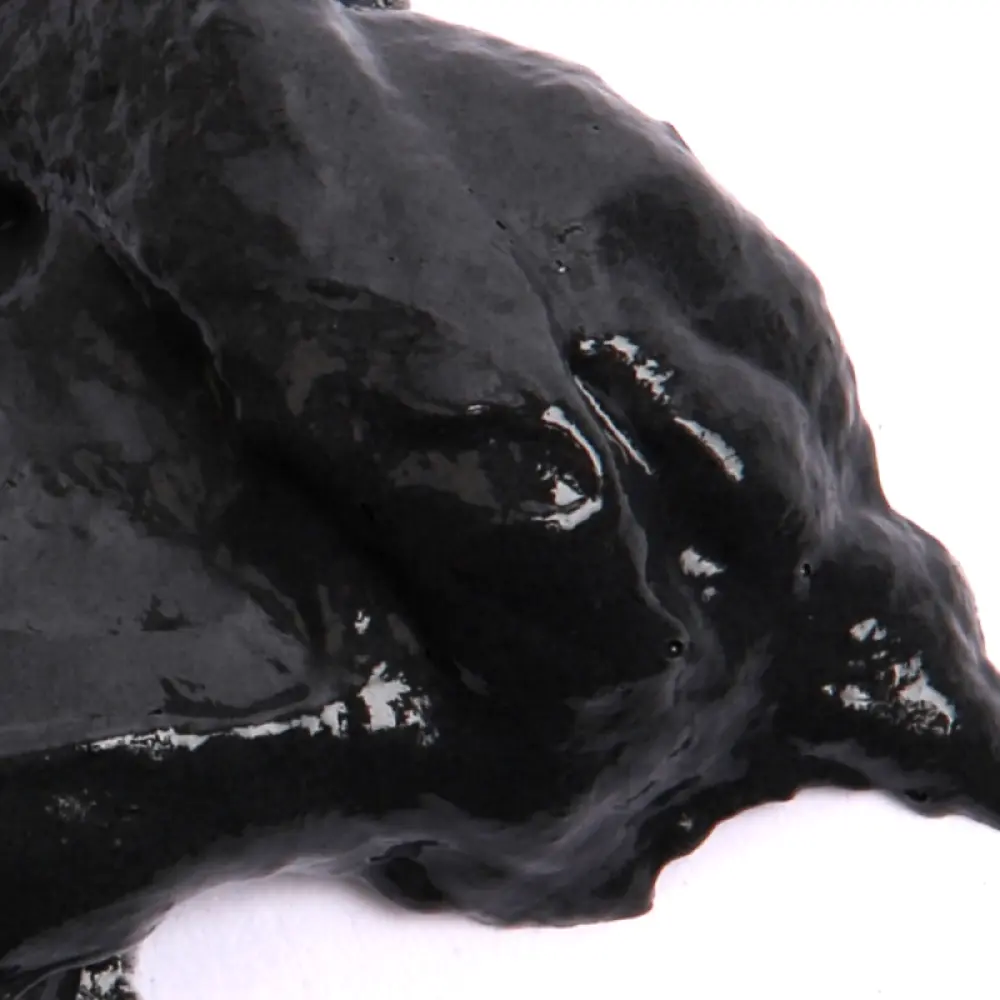 dentifrice-au-charbon-vegetal-100gr