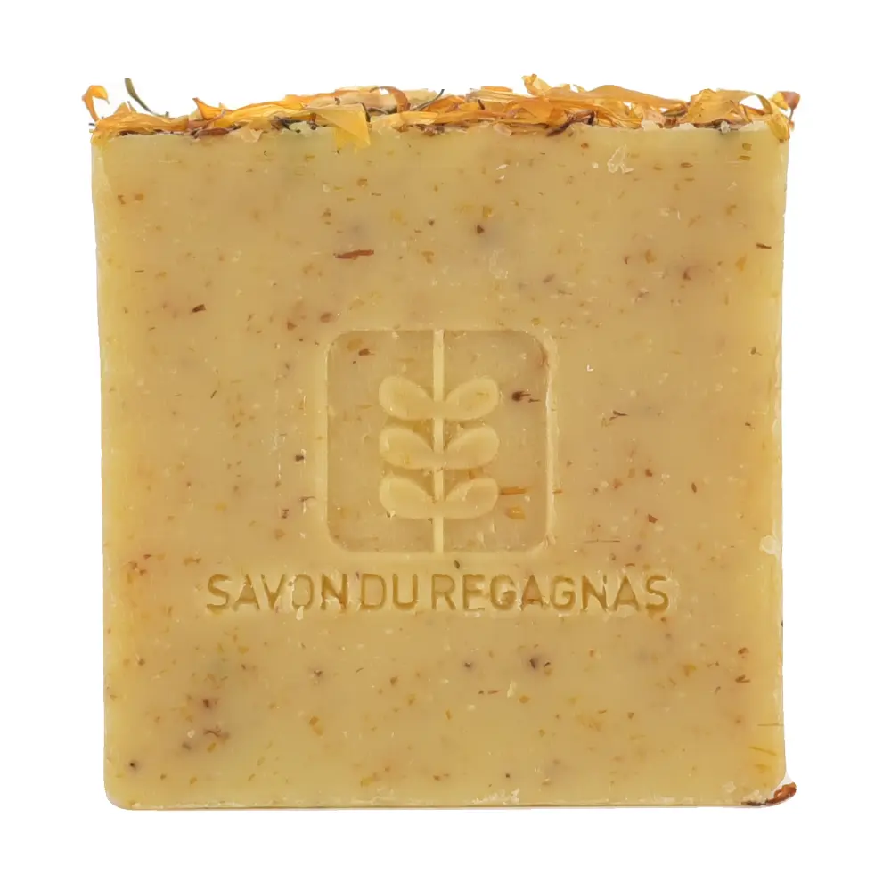 DSC_1257-3760209870169