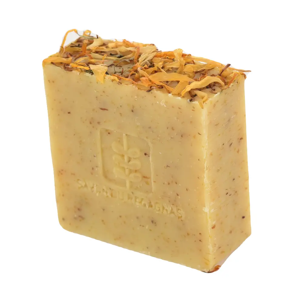 DSC_1258-3760209870169