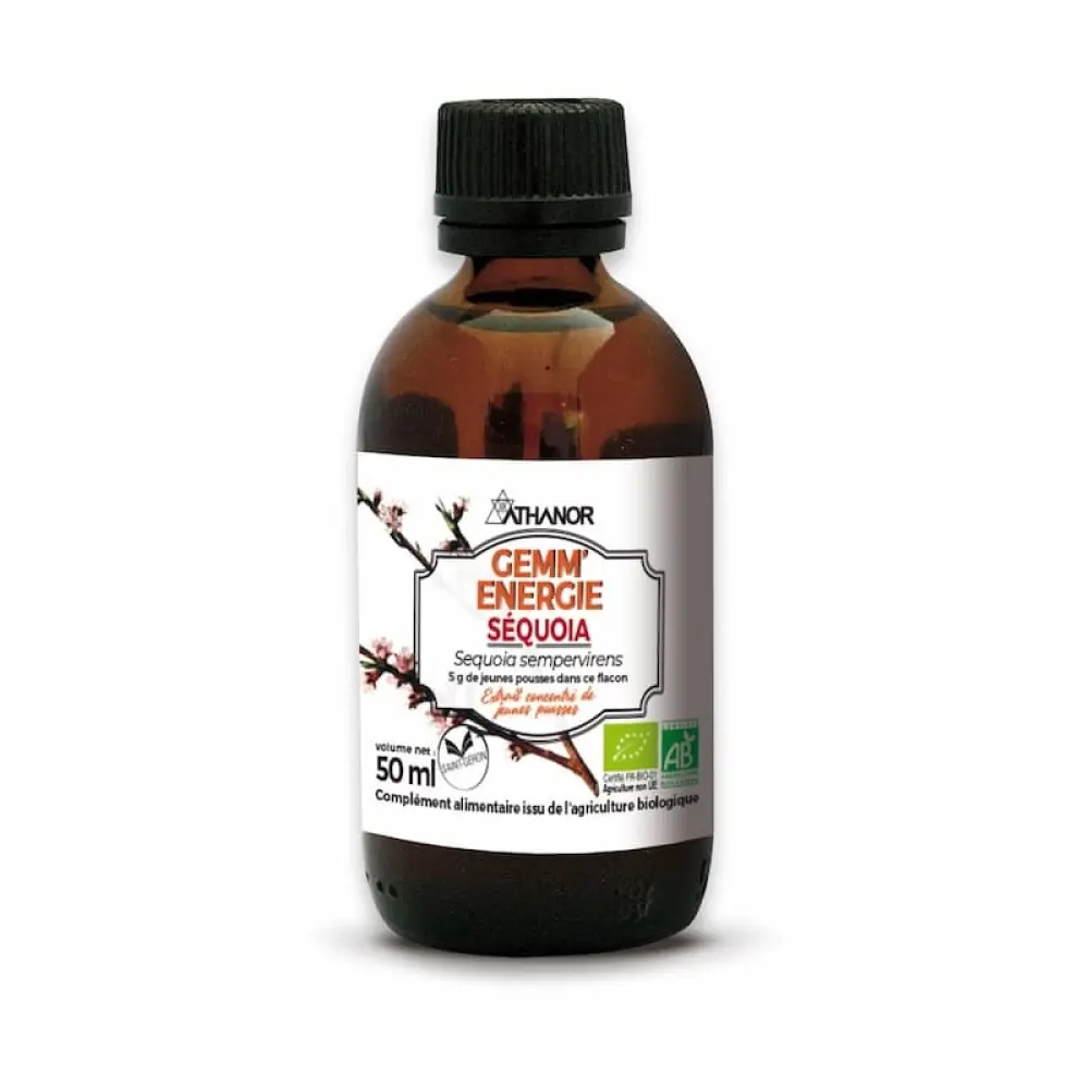 athanor-gemm-energie-sequoia_01