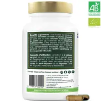 MoringaBiogelulesamoseedsspecialistedessuperalimentsbio_ded3bc28-c023-464f-a263-9f842c525711_1200x