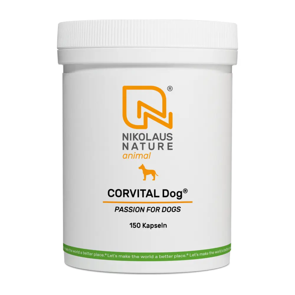 NN_animal_corvital-dog-150k-1678200291-bild-2000