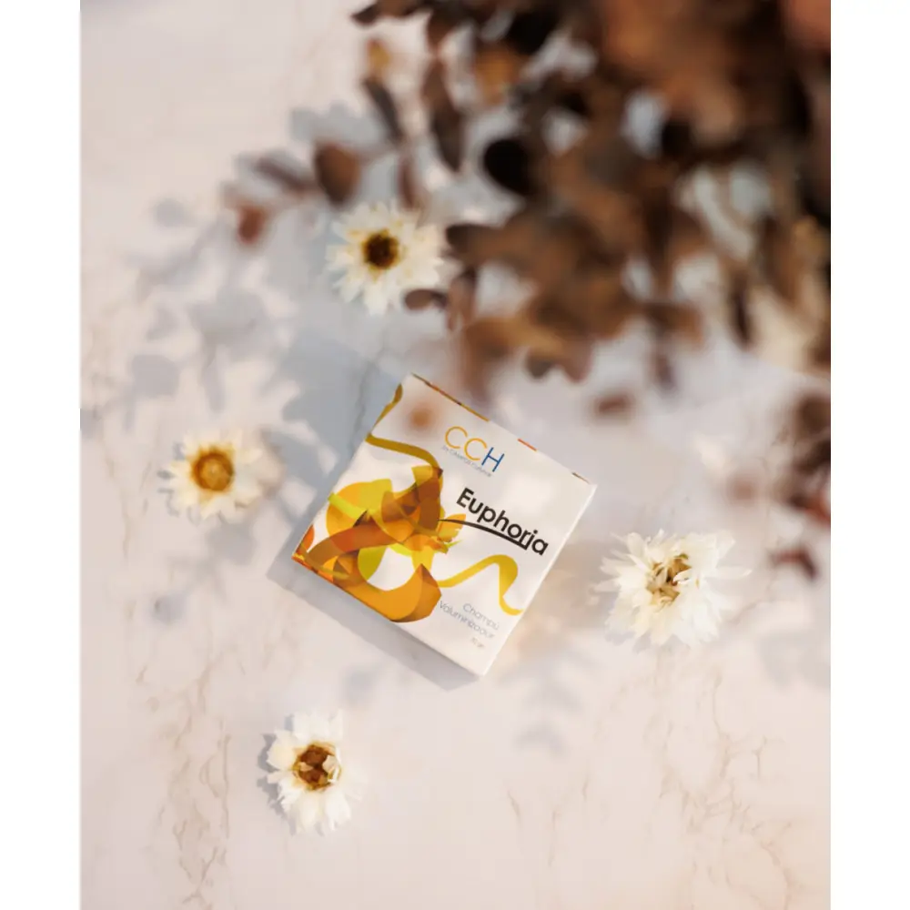 euphoria2-1-1267x1536