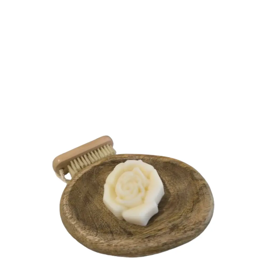 1746524957304-removebg-preview