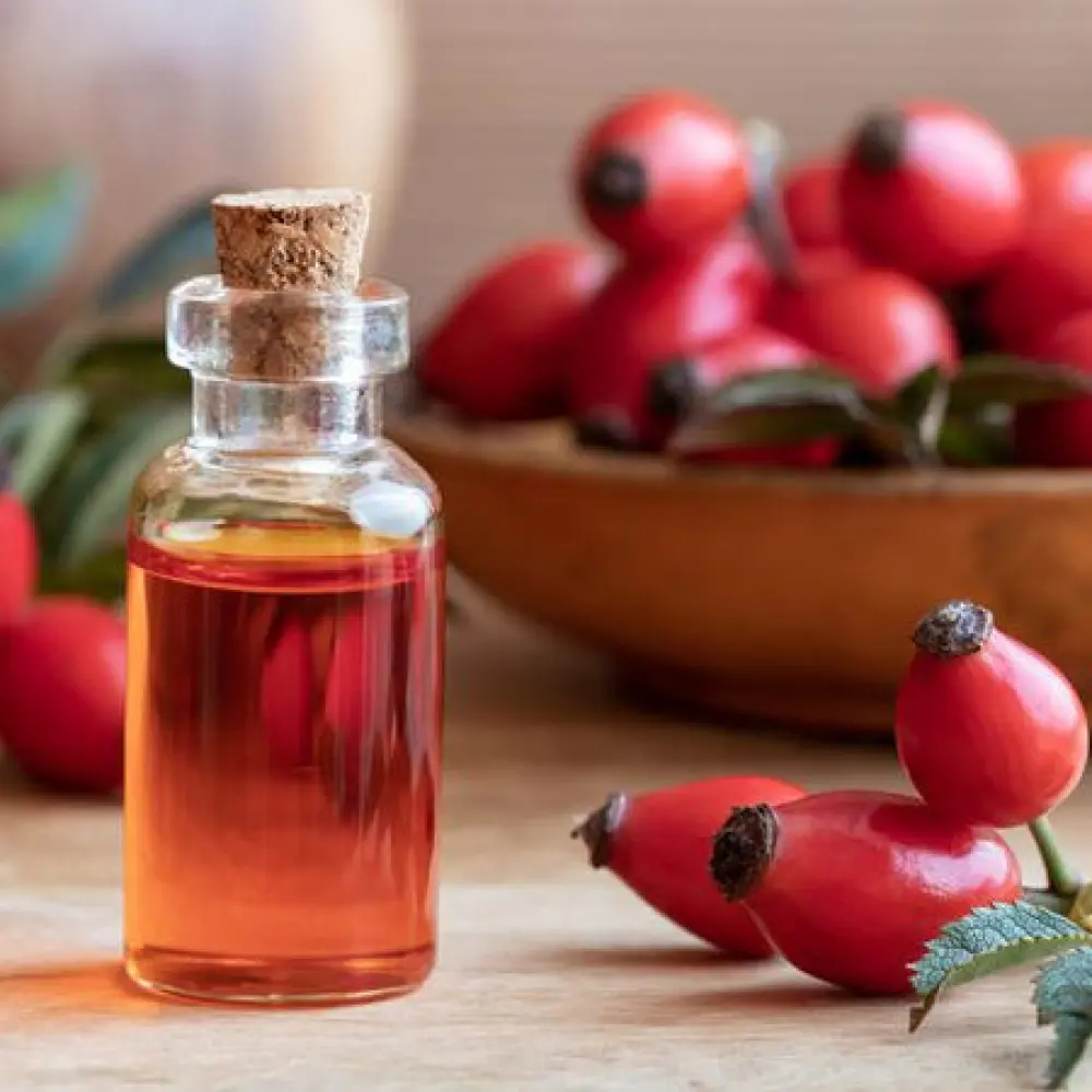 bottle-of-rose-hip-seed-oil-with-fresh-rose-hips-royalty-free-image-1054637112-1545070653