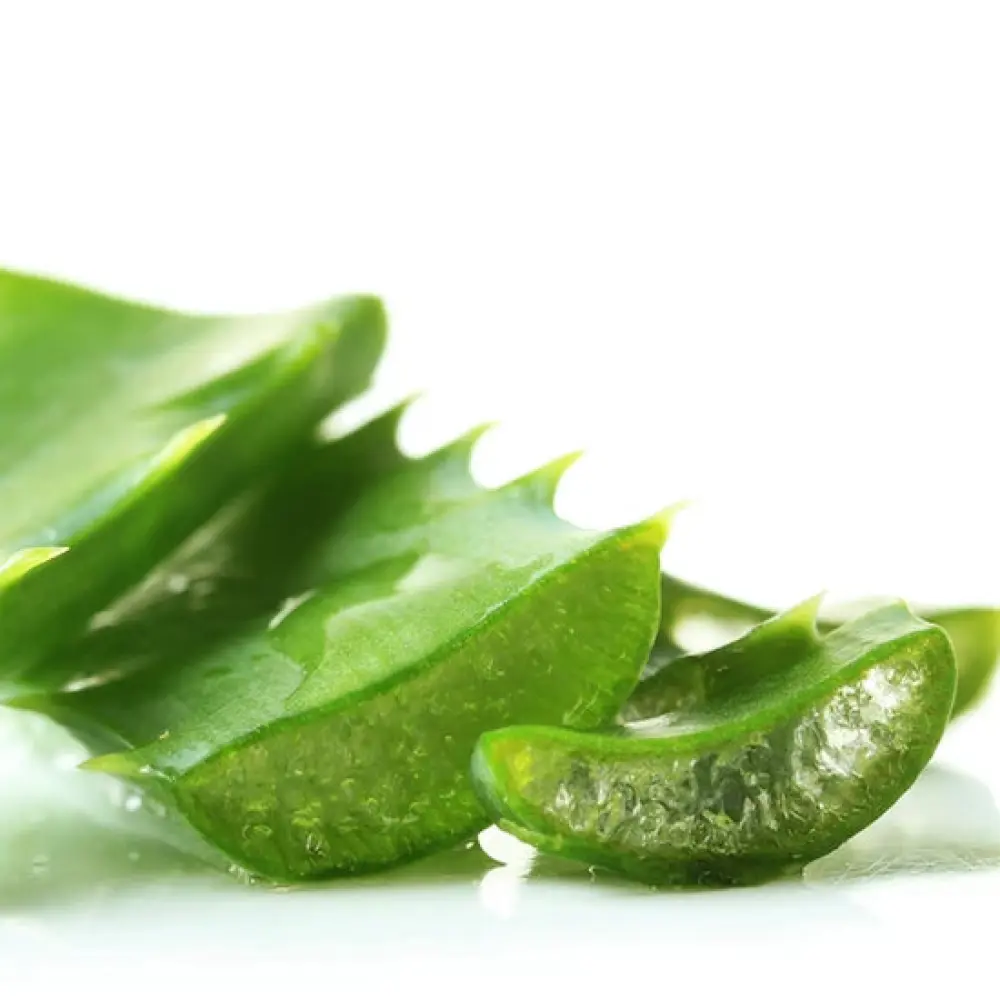 aloe_vera_soap_swiss_toniq_unrefined_pure_soap