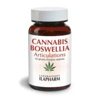 Capture d’écran 2023-03-17 à 10.47.19