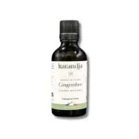 karandja-extrait-de-plante-gingembre-50ml-bio-zingiber-officinale