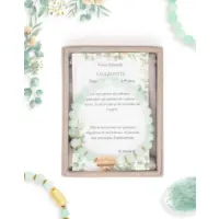 Bracelet-Amazonite-Caixa-2