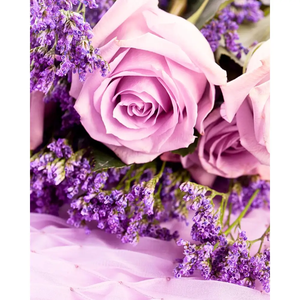 Rose_and_Lavender