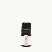 Essential-Oil-Immortelle