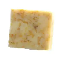 IMG_3953-scaled Background Removed Background Removed