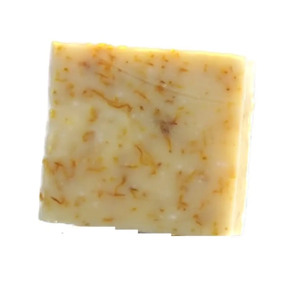 IMG_3953-scaled Background Removed Background Removed