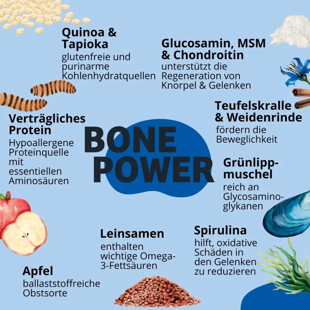 Zutaten_BonePower_3000x