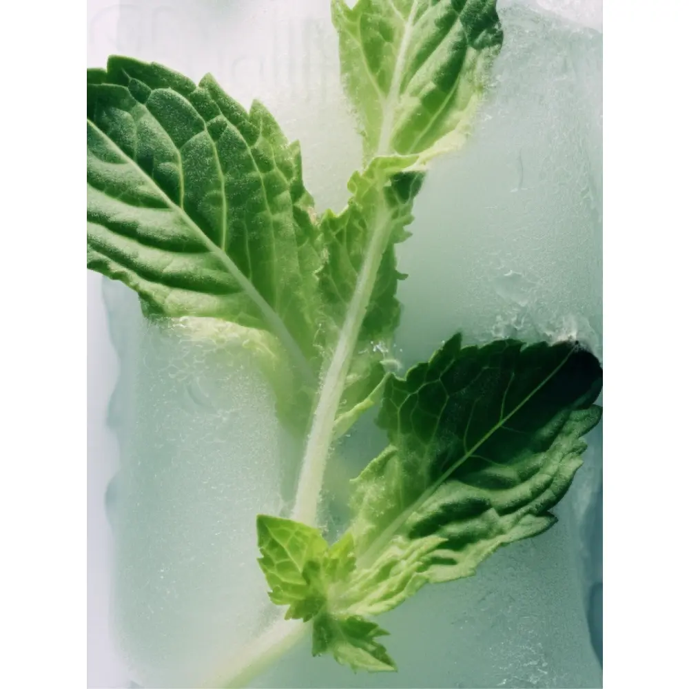 CONTOUR DES YEUX - 4