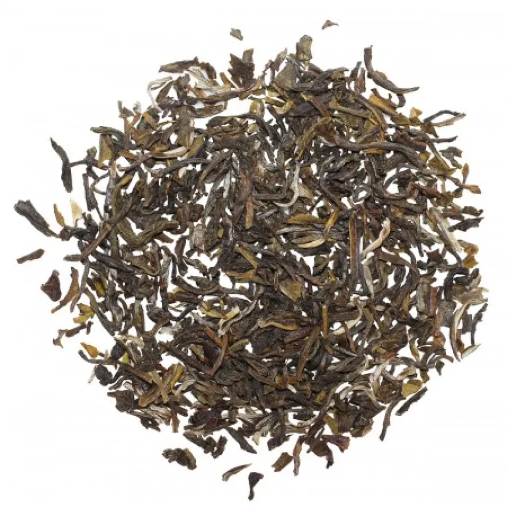 the-vert-jasmin-yin-hao