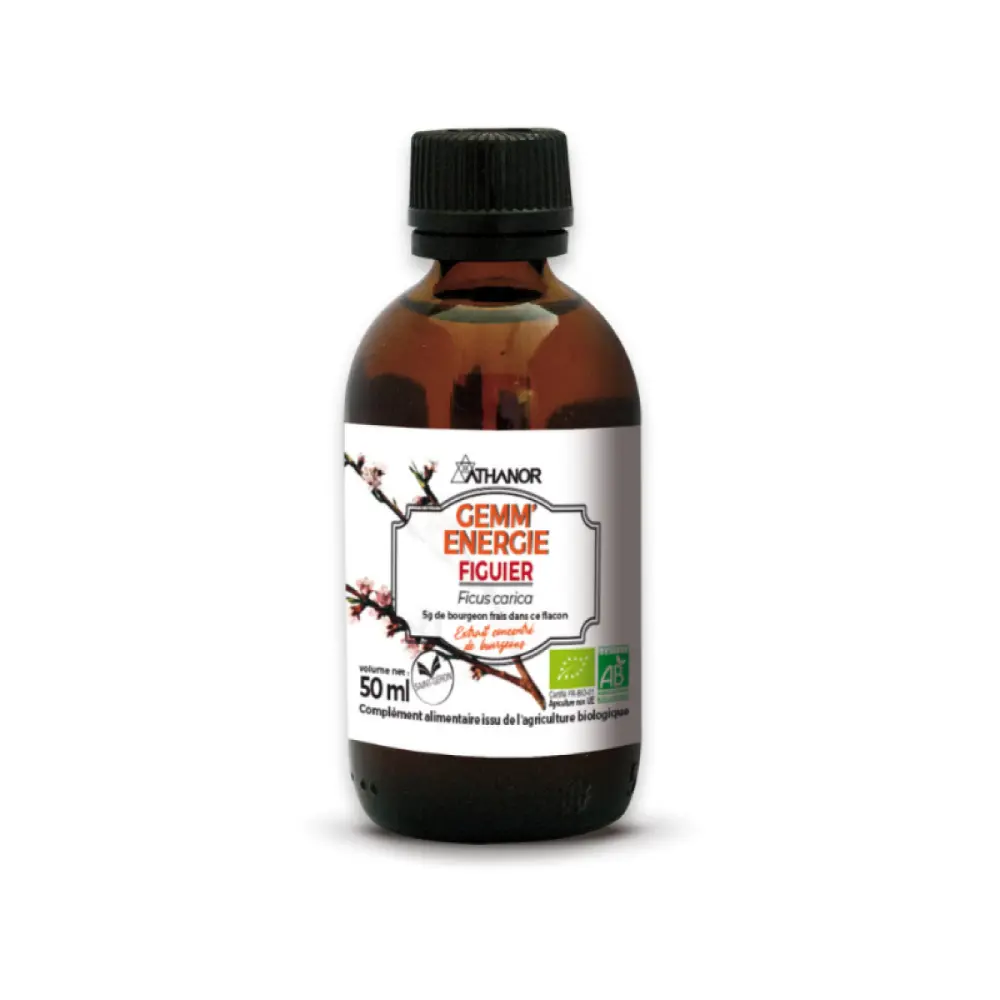 Design sans titre (18)