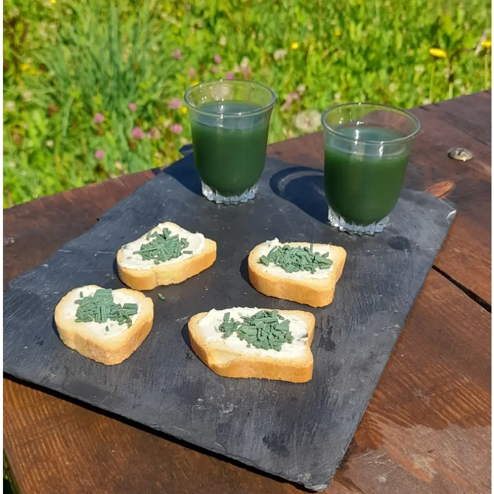 Toast-de-fromage-frais-a-la-spiruline-scaled