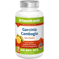Garcinia_Shop-gro├ƒ