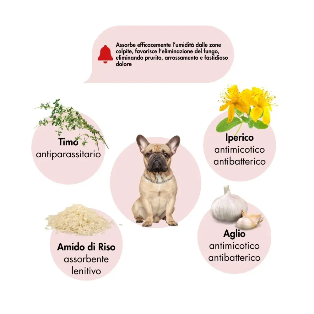 MALAPOLV-PETS-Antimicoticoper-Cani-Gattii
