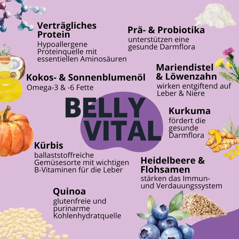 Zutaten_BellyVital_Trockenfutter_1000x