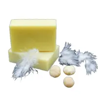 c3dc3c6e-5dab-46dd-bc8c-399029ac52b2-1