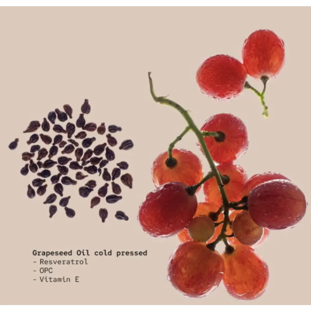 Screenshot 2023-12-11 at 10.53.26