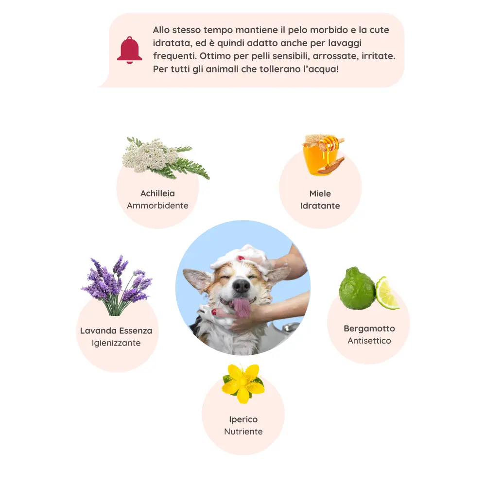 Cliccaquieparlaconunesperto_33