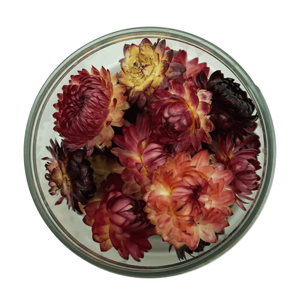 Strohblumen_Fruehlingsmix