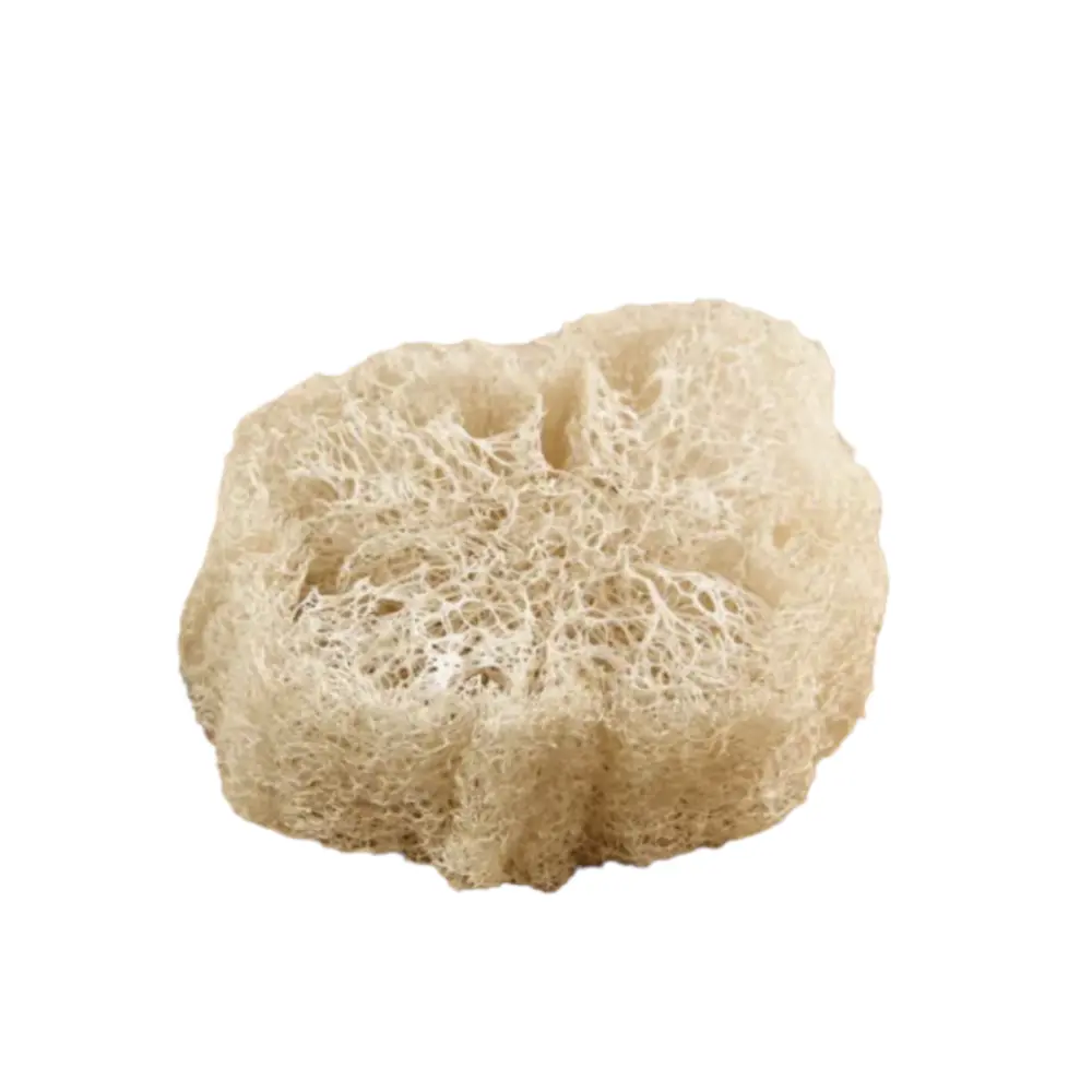 Capture d’écran 2023-02-03 à 13.00.16