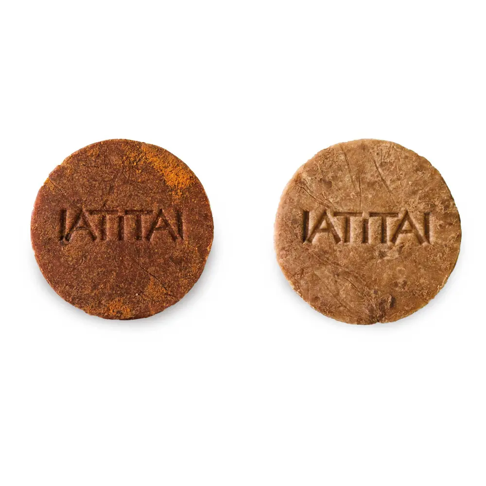 kurkuma ingwer details