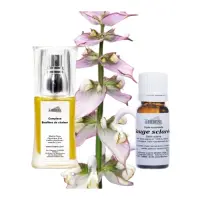 kit-bouffees-chaleur-removebg-preview