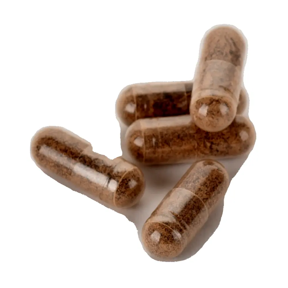 DSC_4456-3770014345035