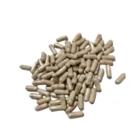 CAPS1_a04e1751-4d1f-4dc9-9137-a53039ad60f7