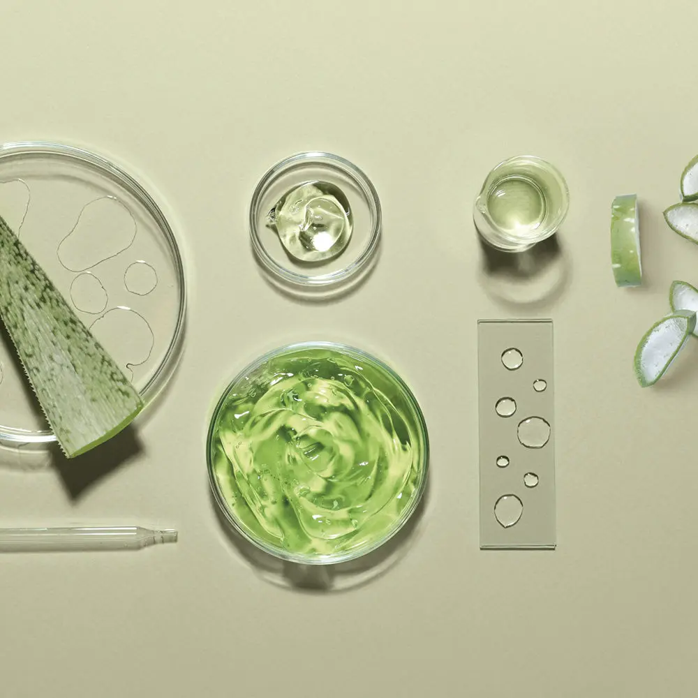 mise-en-scene-aloe_2e385d5f-6ce0-45f4-aa38-1432ded8d905