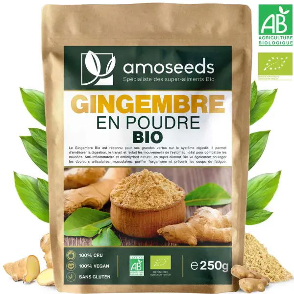 Poudre de gingembre bio