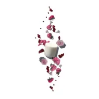 AmorosaSubstantialRefill