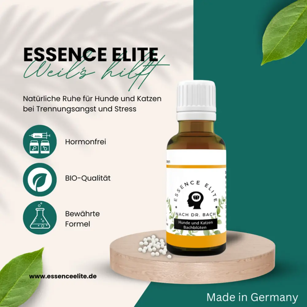 2_9844955e-c63b-4207-b8ca-87fcff437bc1