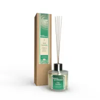 MIKADO_PINO_EUCALIPTO-1-600x600