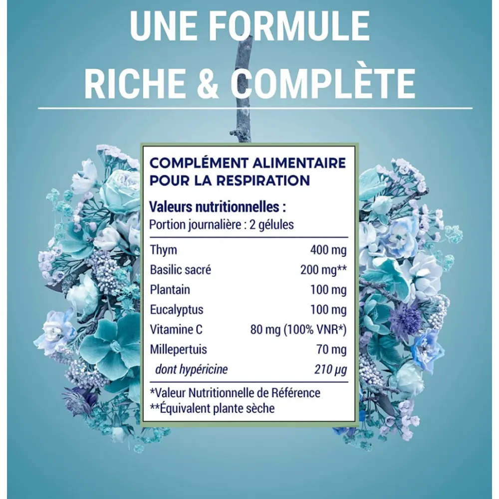 81UYr5A4q7L._AC_SL1500