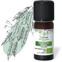 eucalyptus-radiata---huile-essentielle-bio----10-ml-p-image-32789-grande