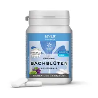 BB_Gum_Dosen_DE_no42